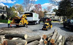 Mulching Services in Mount Prospect, IL